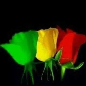 Meet your Posher, Greta